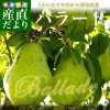 ��긩��껺��ľ�� JA�������� ���� �Х顼�� 5������10�̤���16�̡� �ʤ� �ʥ� ����̵��
