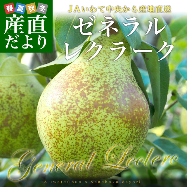 岩手県より産地直送 JAいわて中央 洋梨 ゼネラルレクラーク5キロ(10玉