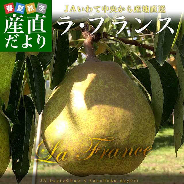 岩手県より産地直送 JAいわて中央 洋梨 ラフランス 5キロ(12 玉から18