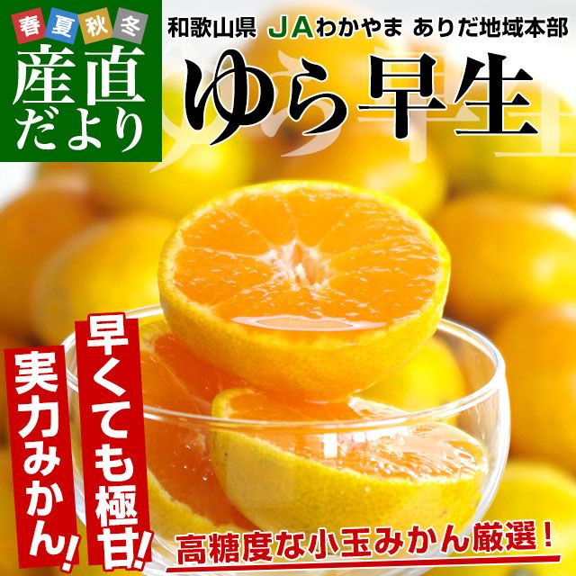 和歌山県より産地直送 JAわかやま ありだ地域本部 ゆら早生みかん 5