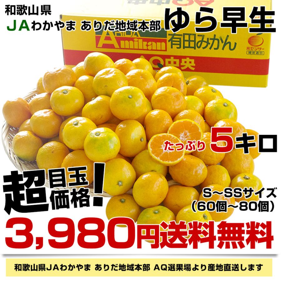 和歌山県より産地直送 JAわかやま ありだ地域本部 ゆら早生みかん 5