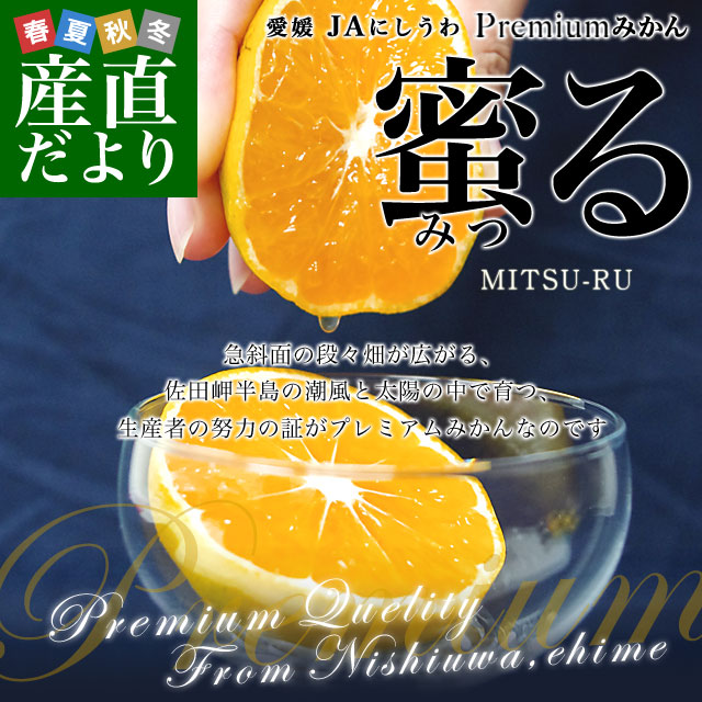 愛媛県より産地直送 JAにしうわ みつる共撰 プレミアム西宇和みかん 蜜