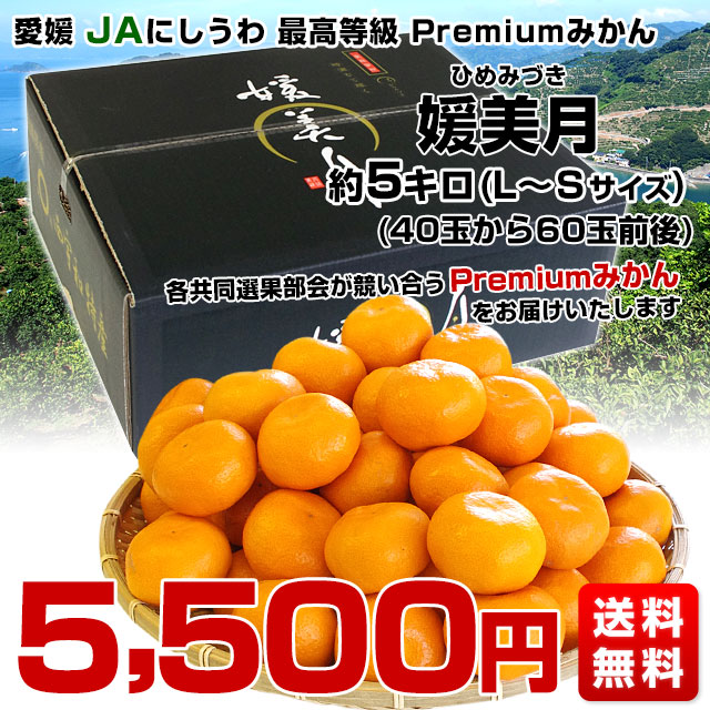 5️⃣ 山梨県産 美和姫 １０パック 箱込み4.7キロ Amazon.co.jp: 美和姫 約5kg 1房約600g-800g 山梨 箱買い