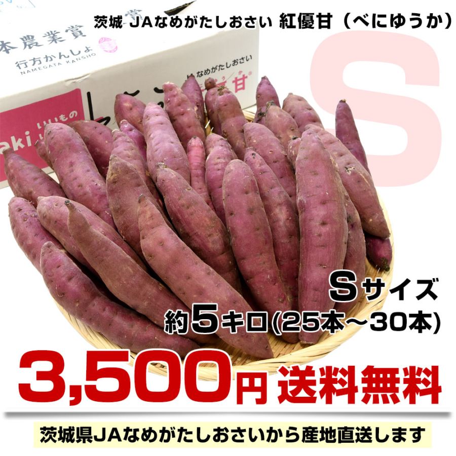 茨城県より産地直送 JAなめがたしおさい さつまいも「紅優甘 (べに