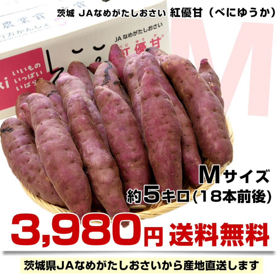 茨城県より産地直送 JAなめがたしおさい さつまいも「紅優甘 (べに