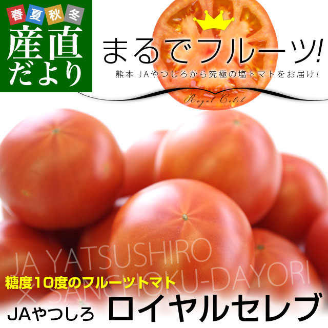 熊本県より産地直送 JAやつしろ フルーツトマト ロイヤルセレブ 約1
