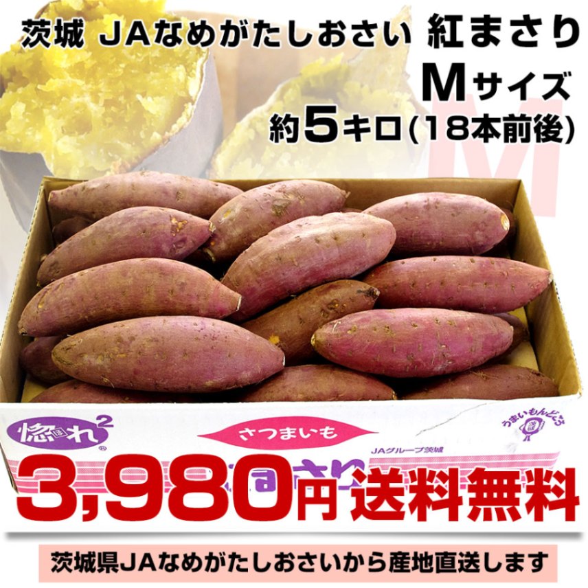 茨城県より産地直送 JAなめがた さつまいも「紅まさり（べにまさり