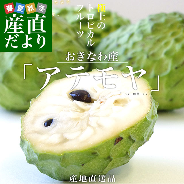 ���츩��껺��ľ�� JA�����ʤ� ���ƥ�� L����S������ ��1.8���� (6�̤���10��) ���Ƥ�� �ȥ��ԥ���