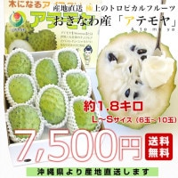 アテモヤ1.9㎏⑤ 2025年最新】アテモヤの人気アイテム - メルカリ