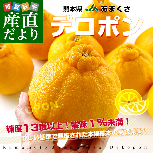 熊本県から産地直送 JAあまくさ デコポン 3L 5キロ (18玉) でこぽん