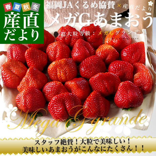 ʡ껺ľ JA ᥬGޤ ĶγᥬG 2Ȣå 1080g (540g2Ȣ)     α ̵ 