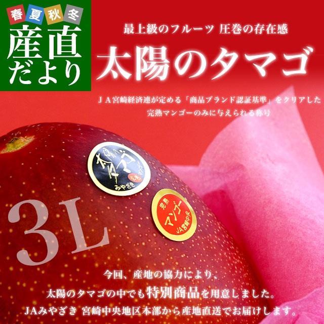 ܺ긩껺ľ JAߤ䤶ܺ϶ ۤΥޥ ǹAA 3L2 450g499g2̡ ̵ ޥ󥴡 褦Τޤ