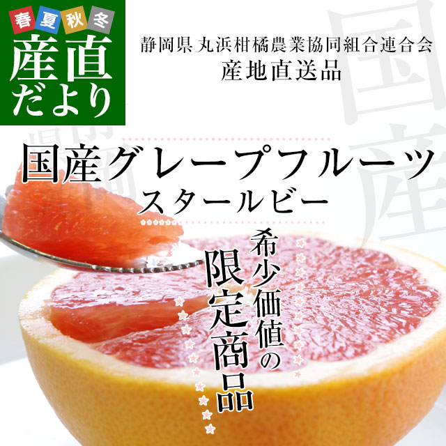 静岡県より産地直送 丸浜柑橘農協 丸浜グレープフルーツ スター