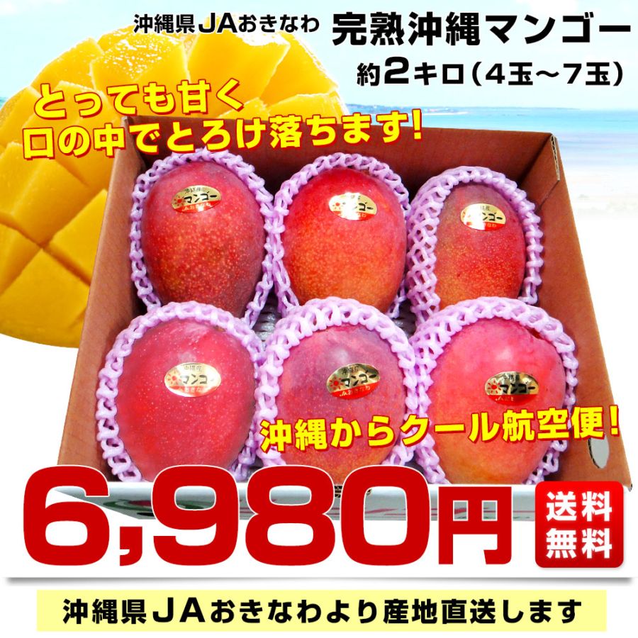 沖縄県より産地直送 JAおきなわ 完熟沖縄マンゴー 約2キロ (4玉から7玉