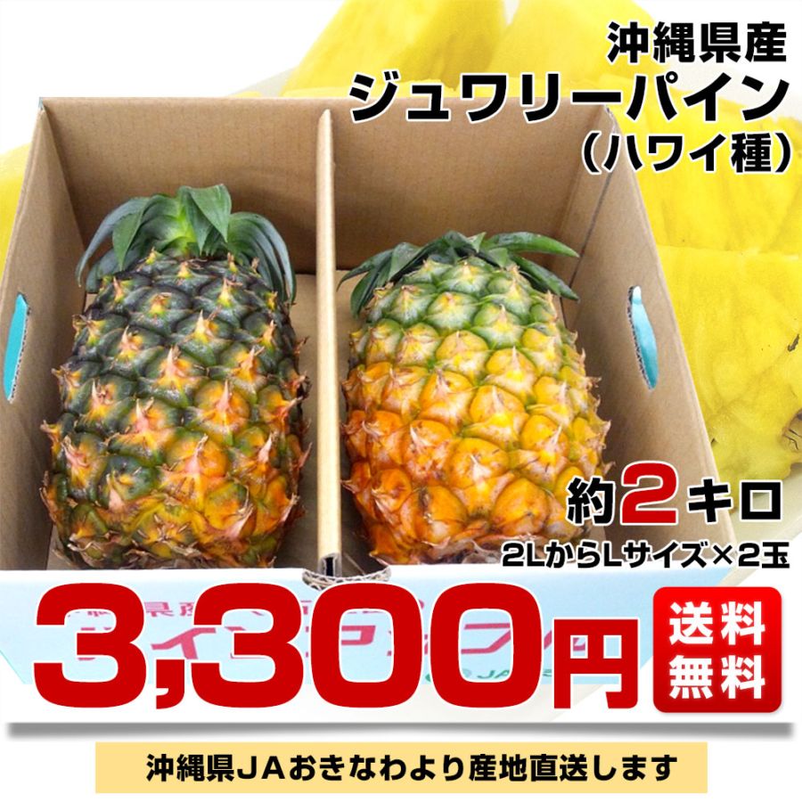 沖縄県より産地直送 JAおきなわ ジュワリーパイン2LからLサイズ2玉
