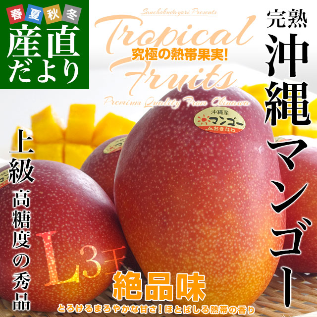 츩껺ľ JAʤ ϲޥ󥴡  L3 900g (300g3) ̵ ޤ󤴡 åץޥ󥴡ե ƥե 渵 渵