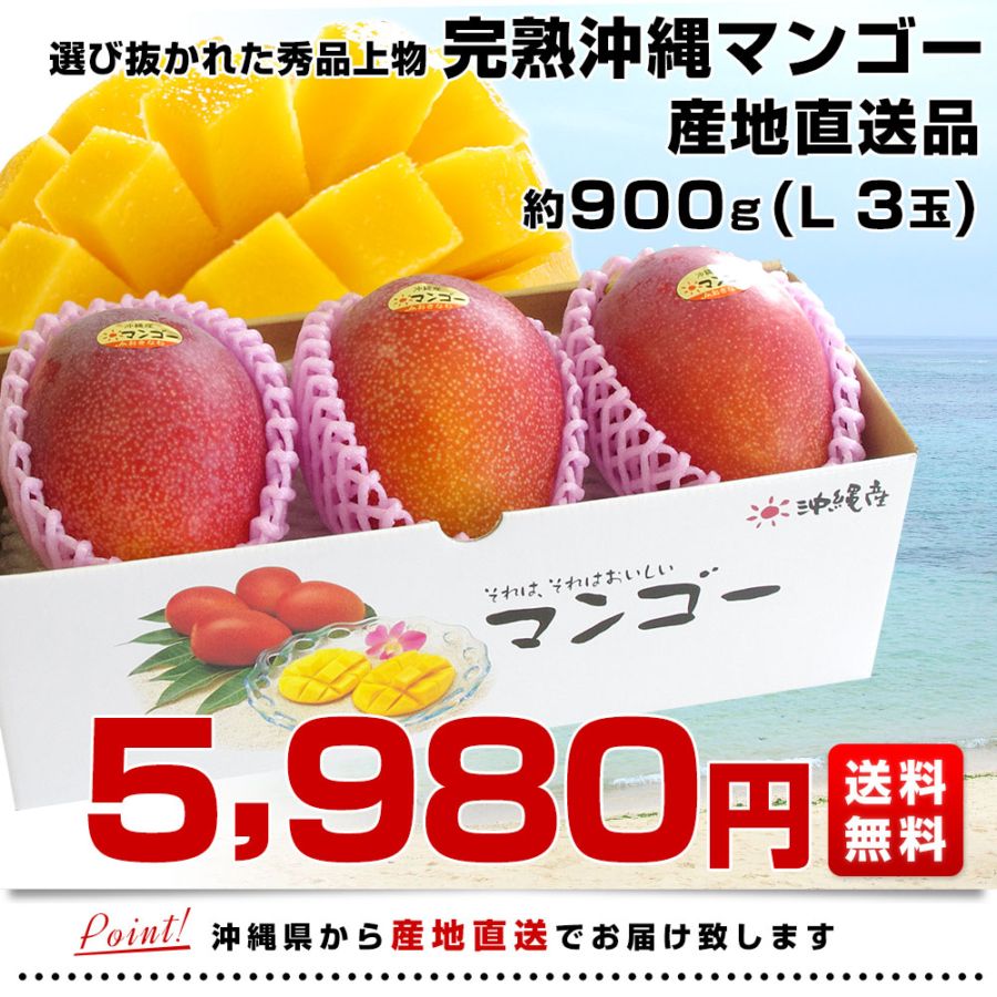 沖縄県より産地直送 JAおきなわ 完熟沖縄マンゴー 秀品 Lサイズ×3玉