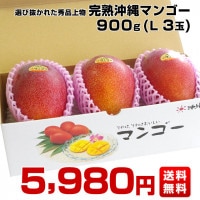 沖縄県より産地直送 JAおきなわ 完熟沖縄マンゴー 秀品 Lサイズ
