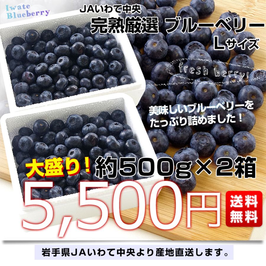 岩手県より産地直送 JAいわて中央 ブルーベリー Lサイズ 約500g×2箱