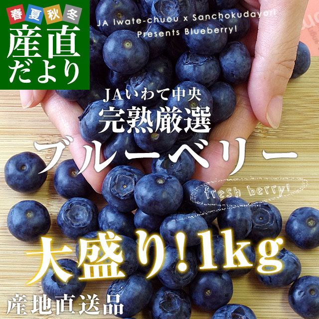 岩手県より産地直送 JAいわて中央 ブルーベリー Lサイズ 約500g×2箱