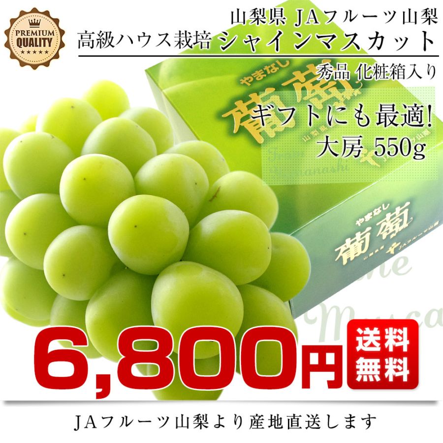 大粒特秀品シャインマスカット　山梨　ぶどう　産地直送 2026年発送分】 シャインマスカット 1.2kg 2 ~ 3房 おすすめ