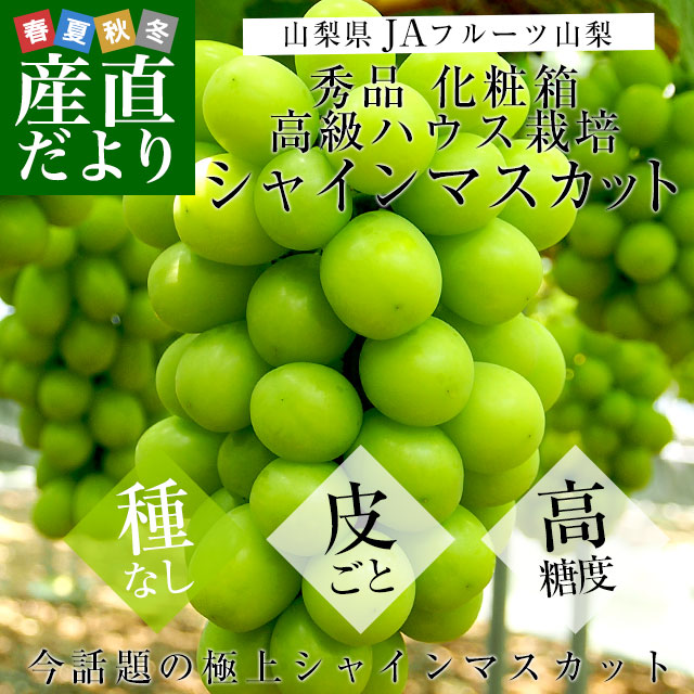 山梨県より産地直送 JAフルーツ山梨 シャインマスカット 秀品 大 山梨県より産地直送 JAフルーツ山梨 シャインマスカット 秀品 大