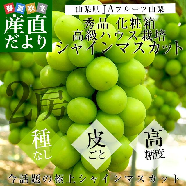 껺ľ JAե롼Ļ 㥤ޥå  ˼2˼ Ȣ (550g2˼)  ̵ ƺ ֤ɤե ƥե 渵 渵