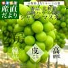 껺ľ JAե롼Ļ 㥤ޥå  ˼2˼ Ȣ (550g2˼)  ̵ ƺ ֤ɤե ƥե 渵 渵