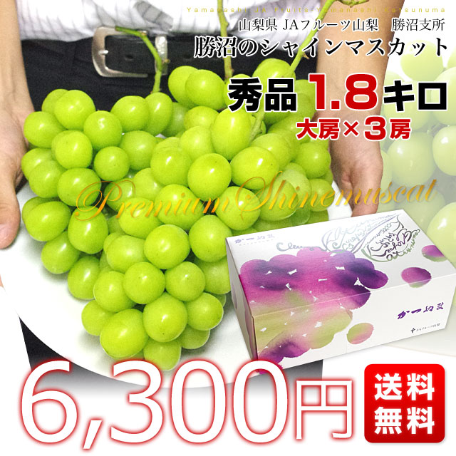 夏季限定】No.53 4kgシャインマスカット摘みたて産地直送山梨県 夏季限定】No.53 4kgシャインマスカット摘みたて産地直送山梨県