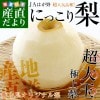 ���ڸ���껺��ľ�� JA�Ϥ��� �ˤä����� ��� 5���� (4�̤���6��)����̵�� ͥ�ʰʾ� �ʤ� �� �ʥ�
