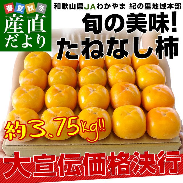 ²λ껺ľ JA狼 Τϰ ͤʤ 2LM 3.75(16̤20) ̵   