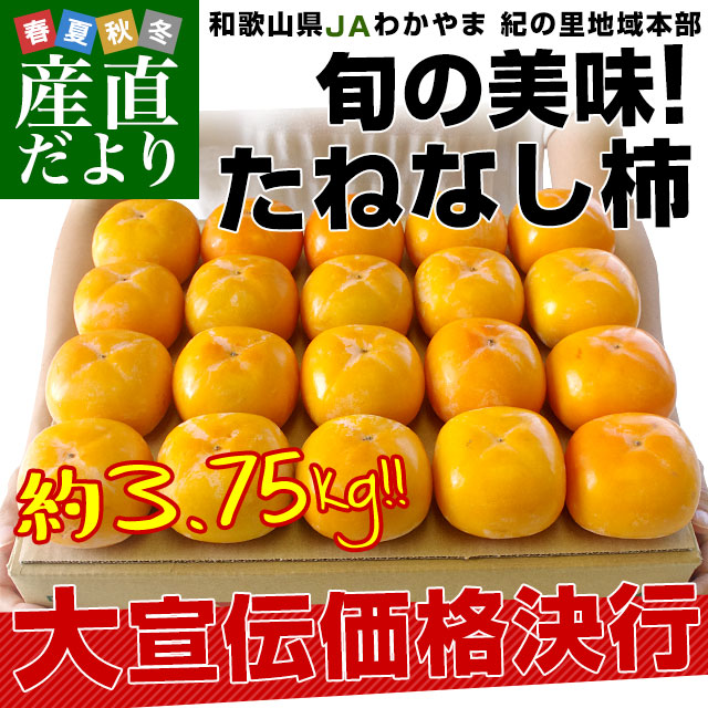 和歌山県より産地直送 JAわかやま 紀の里地域本部 たねなし柿 2LからM