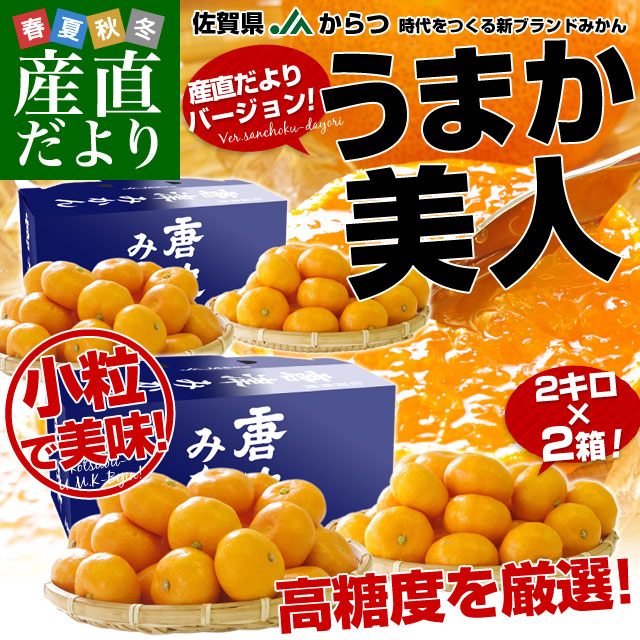 佐賀県より産地直送 JAからつ 小粒うまか美人 高糖度みかん 2Sから3S