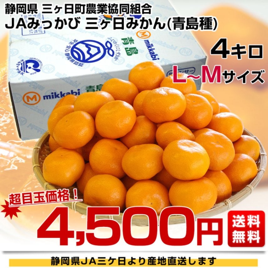 静岡県より産地直送 JAみっかび 三ケ日みかん (青島種) LからM