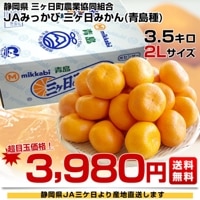 2026年発送】静岡県より産地直送 JAみっかび 三ケ日みかん (青島種) 2L