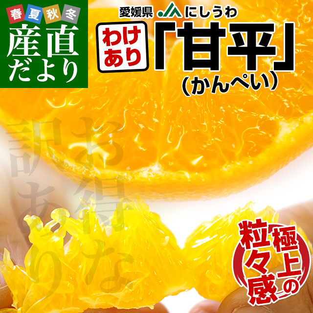 ��ɲ������JA�ˤ�����������ʿ�ʤ���ڤ�����5������4L����L��15�̤���28������˻Ծ쥹�ݥå� �ߤ���ߥ�������̵��