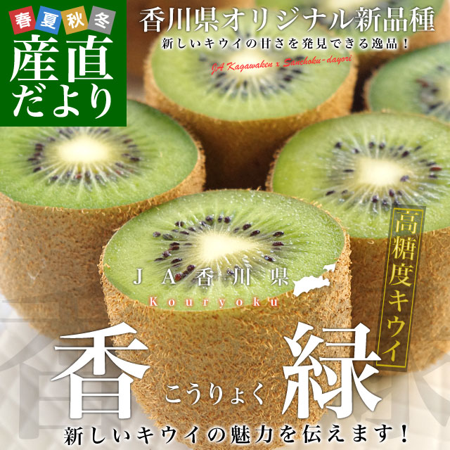 香川県より産地直送 JA香川県 キウイフルーツ 香緑(こうりょく) 約3