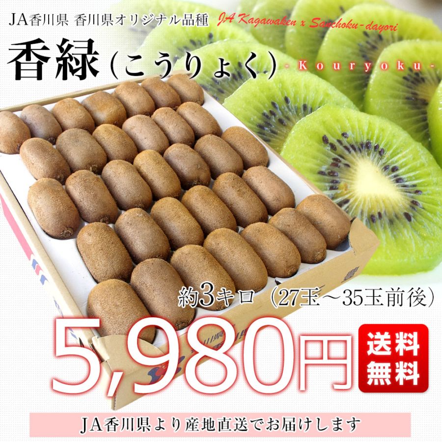 香川県より産地直送 JA香川県 キウイフルーツ 香緑(こうりょく) 約3