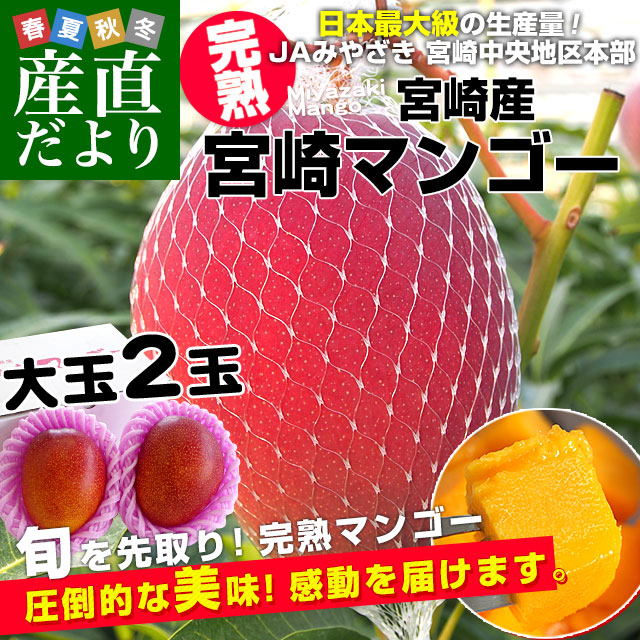 希少な4月発送 宮崎県より産地直送 JAみやざき 宮崎中央地区本部 宮崎