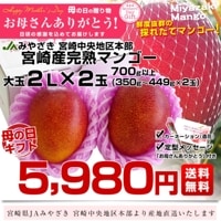 遅れてごめんね母の日ギフト 宮崎県より産地直送 JAみやざき宮崎