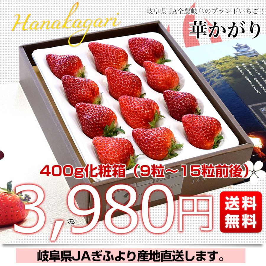 岐阜県より産地直送 JAぎふ オリジナルブランドいちご 「華かがり