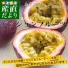 �����縩��껺��ľ�� JA���������� �ѥå����ե롼�� 2L����3L������ 1.2������9�̤���12�̡� ����̵�� �ȥ��ԥ���ե롼�� ����