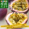 �����縩��껺��ľ�� JA���������� �ѥå����ե롼�� 2L����3L������ 1.2������9�̤���12�̡� ����̵�� �ȥ��ԥ���ե롼�� ����
