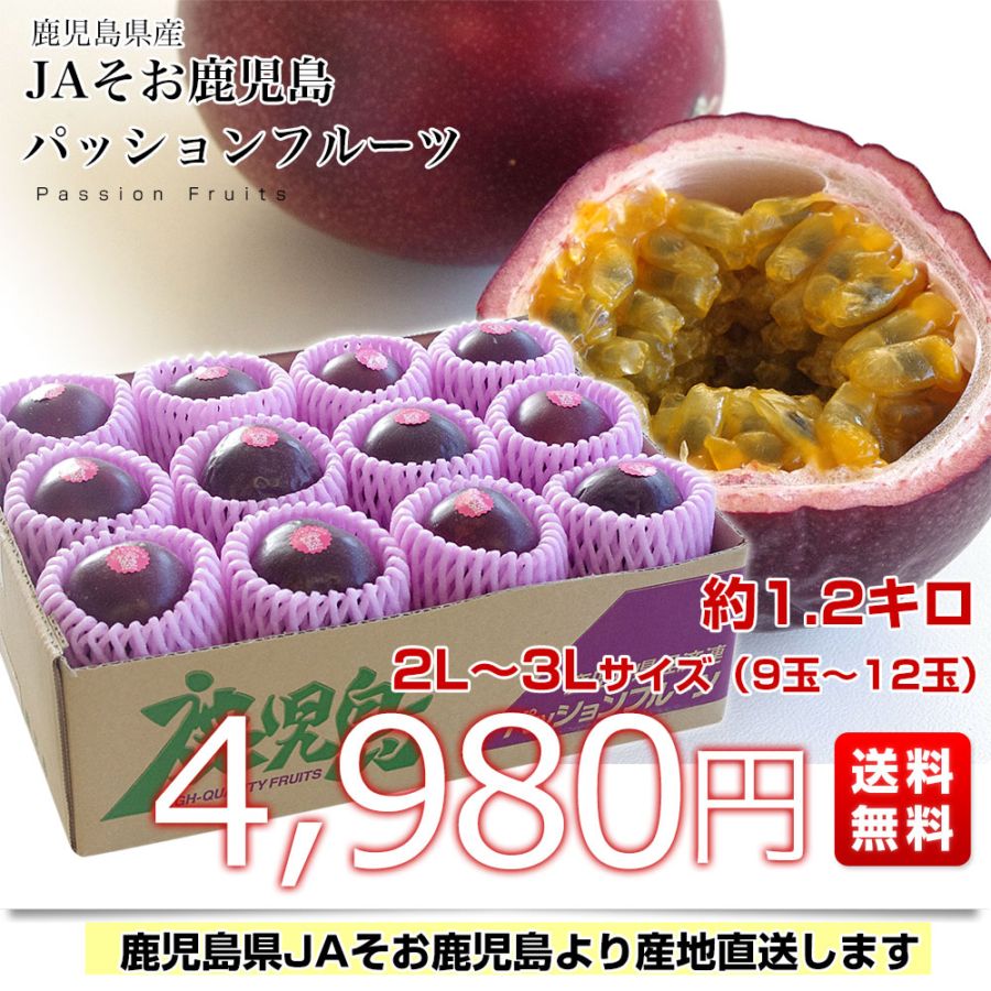 鹿児島県より産地直送 JAそお鹿児島 パッションフルーツ 2Lから3L
