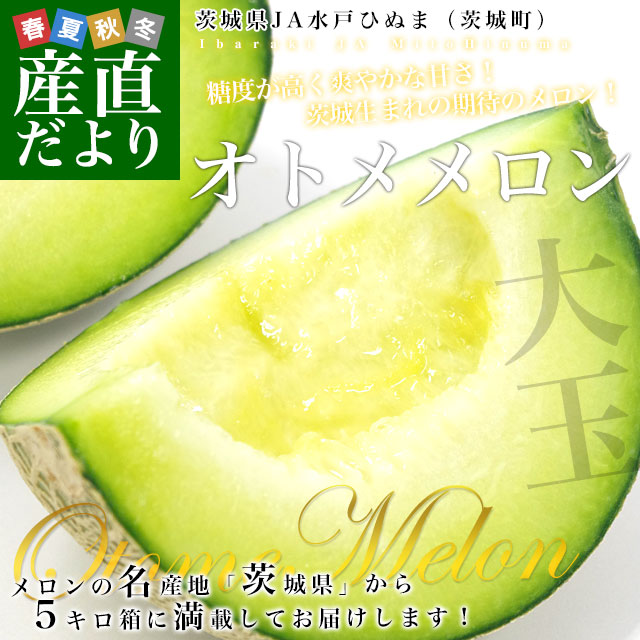 븩껺ľ JAͤҤ̤ ȥ ̤4L3L 5Ȣ (3̤4) ̵  