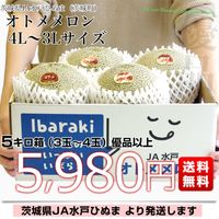 ひろ 2箱 4玉 茨城県より産地直送 JA水戸ひぬま オトメメロン 大玉の4Lから3L