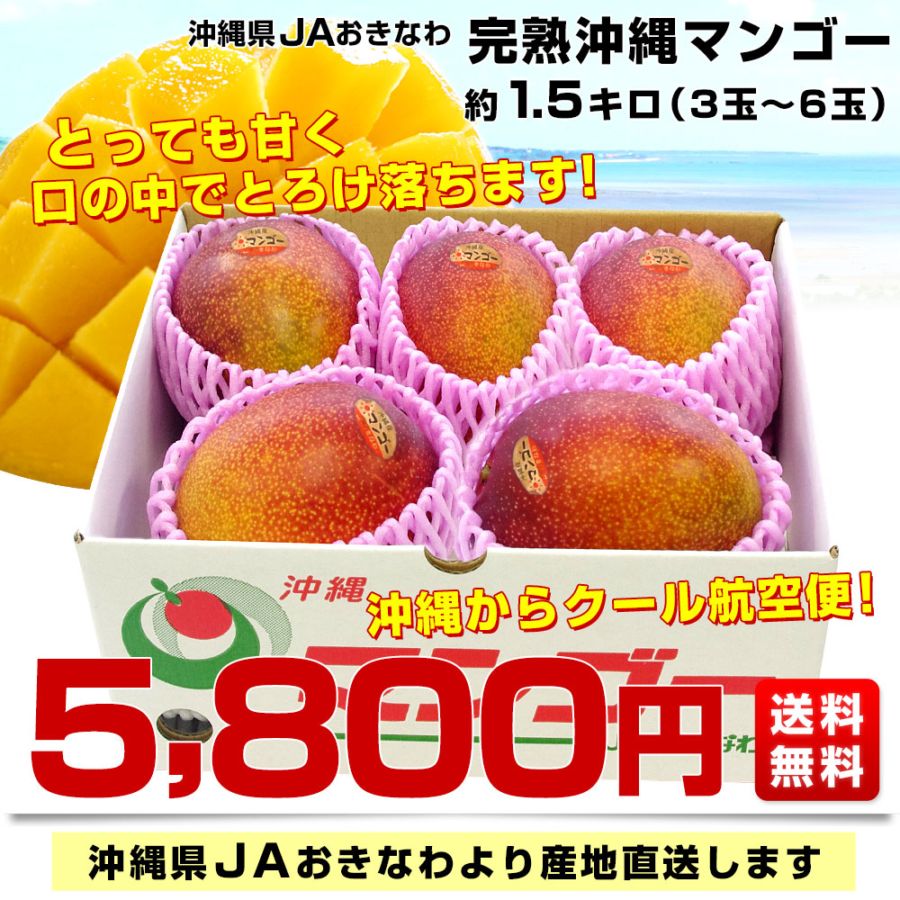 沖縄県より産地直送 JAおきなわ 完熟沖縄マンゴー 約1.5キロ (3玉から6