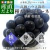 �ڤ��渵���ƥ��եȡۻ�������껺��ľ�� JA�ե롼�Ļ��� ��ʤ��ԥ����� ���� ��˼��˼���� ����Ȣ (��550g �ߣ�˼) ����̵�� ��ƺ �֤ɤ����ե� ���渵