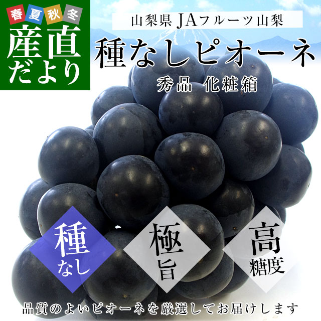 山梨県より産地直送 JAフルーツ山梨 種なしピオーネ 秀品 大房1房入り