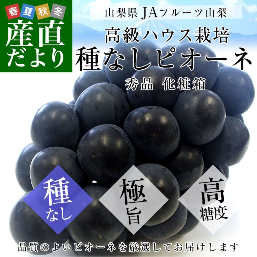 お中元・夏ギフト】山梨県より産地直送 JAフルーツ山梨 種なしピオーネ